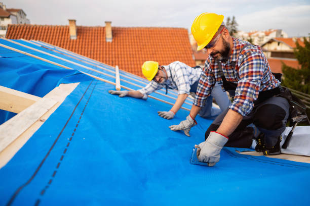 Best Roof Gutter Cleaning  in Mart, TX